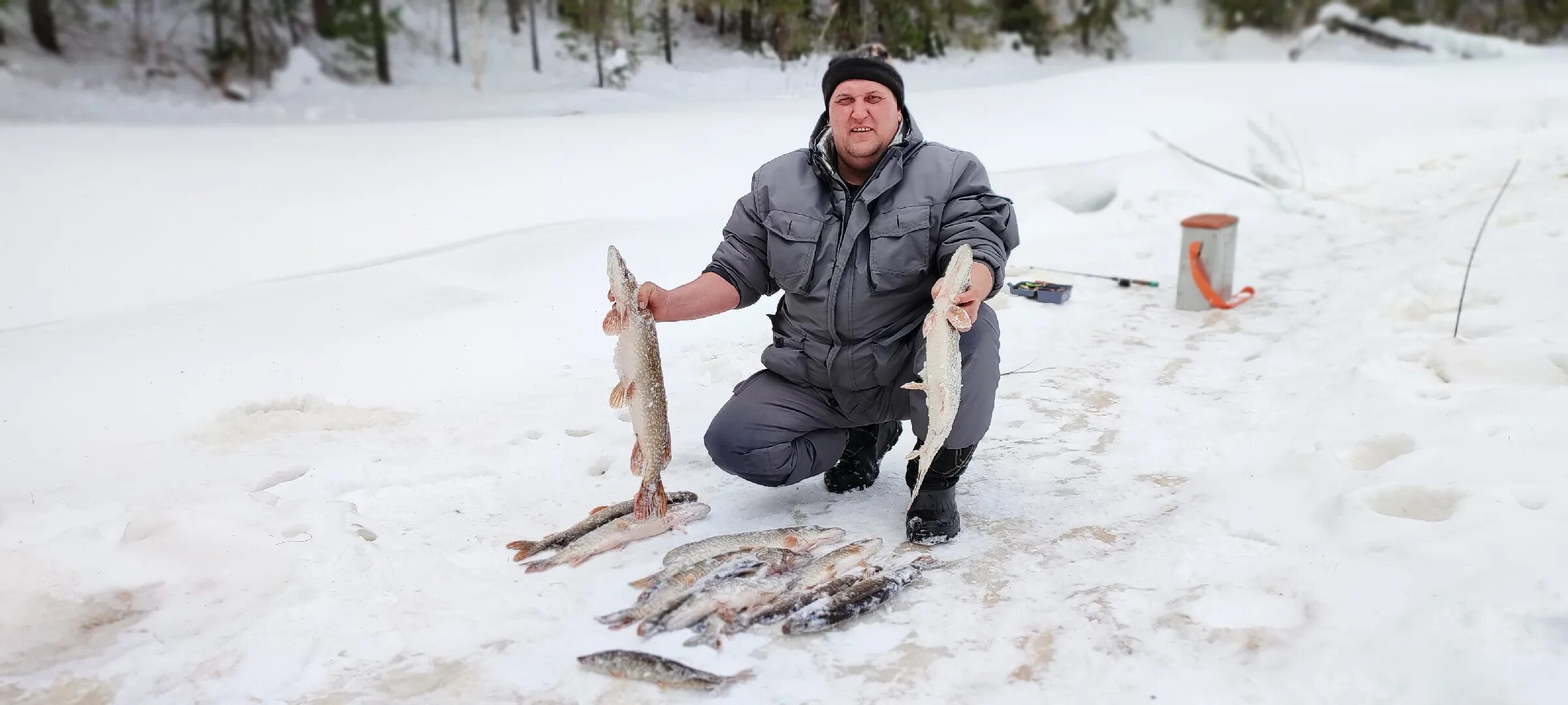 Таёжный канал ютуб. Канал таёжный николай спиридонов. Таежный. Таежный дзен канал последнее видео. Рыбалка в тайге.