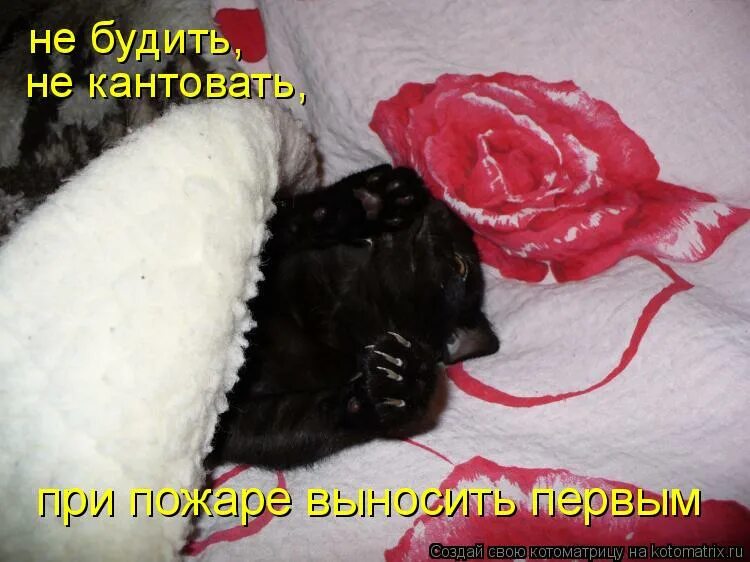 Будите болеть
