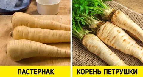 Пастернак на что похож