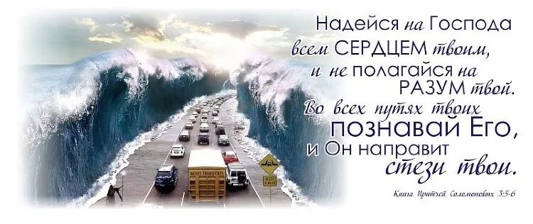 Познай сердце. Надейся на Господа и не полагайся на разум. Уповай на Господа всем сердцем твоим и не полагайся на разум твой. Надейся на Господа всем. Надейся на Господа всем сердцем.