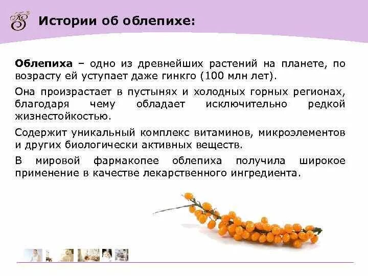 Облепиха лекарственное растение сообщение 6 класс. Облепиха сообщение. рассказ про облепиху. доклад про облепиху. облепиха интересные факты.