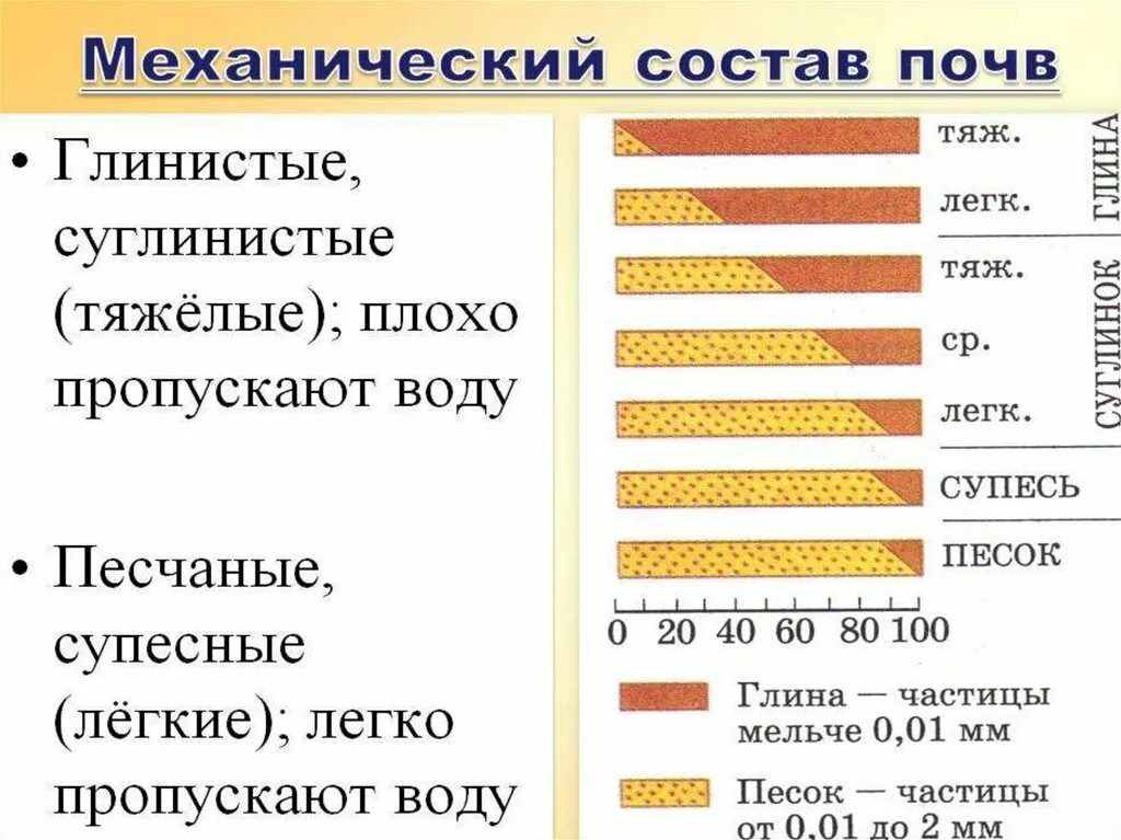 Механический состав почвы. Механического механического состава почв. Глинистые и суглинистые почвы. Определение механического состава почвы. Механический состав почвы 8