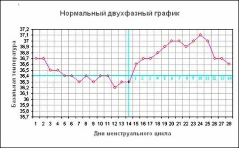 Бывает ли температура при месячных