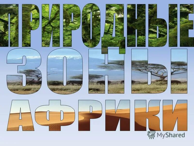 буквы в элементах природы. буквы с цветочками. буквица квиллинг. буквы k r вместе. буква б картинка.