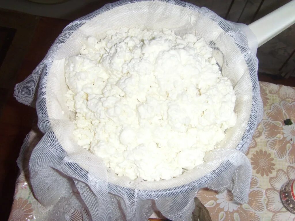 Творог из молока. Козий творог домашний. Творог из козьего молока. Творог из цельного молока. Творог из козьего цельного молока.