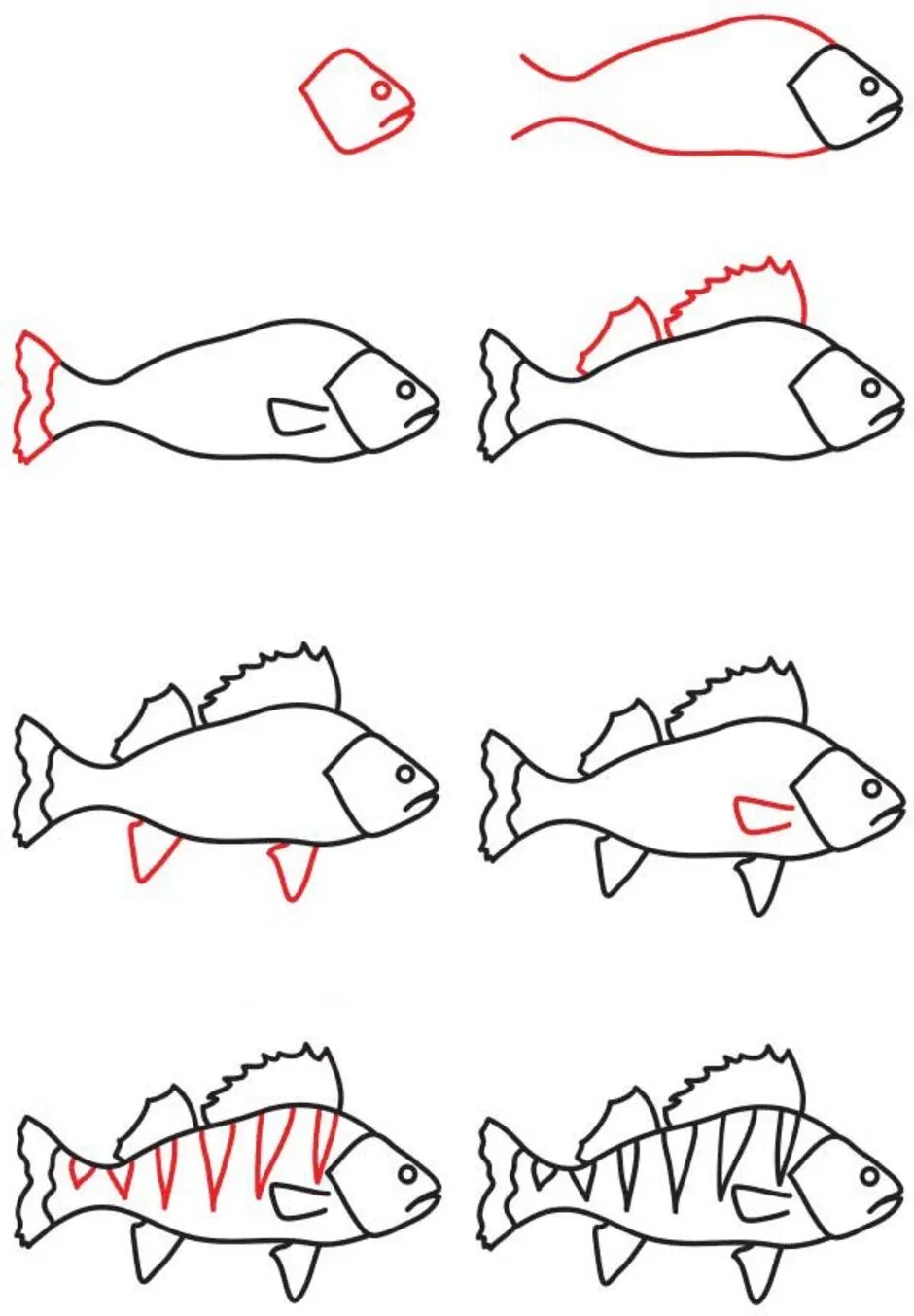 Поэтапное рисование рыбы. Этапы рисования рыбки. Поэтапное рисование рыбы для детей. Рисунок рыбы для срисовки. Нарисовать рисунок рыбу
