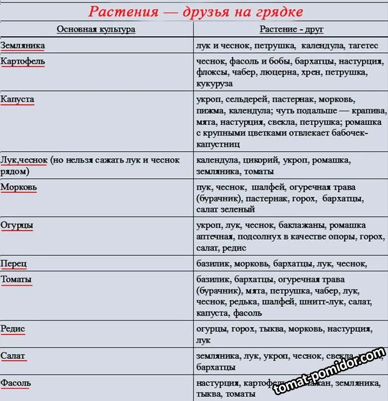 Лук после помидор можно. Совместимость овощных культур при посадке на грядке таблица. Соседство овощей на грядках таблица совместимости растений. Соседство овощей на грядках в огороде таблица. Совместные посадки овощей на грядке таблица.