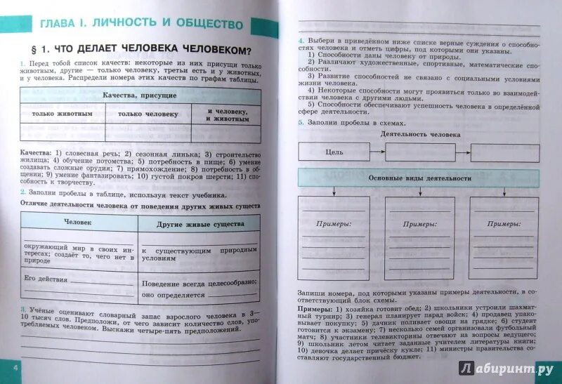 Обществознание 8 класс страница 172. Обществознание. Рабочие листы по обществознанию. Класс Обществознание 8 класс. Практическая работа по обществознанию.