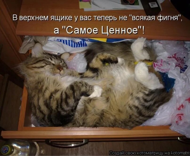 Вот какая то фигня. Фигня прикольная. прикольная хрень. всякая хрень. хрень приколы.