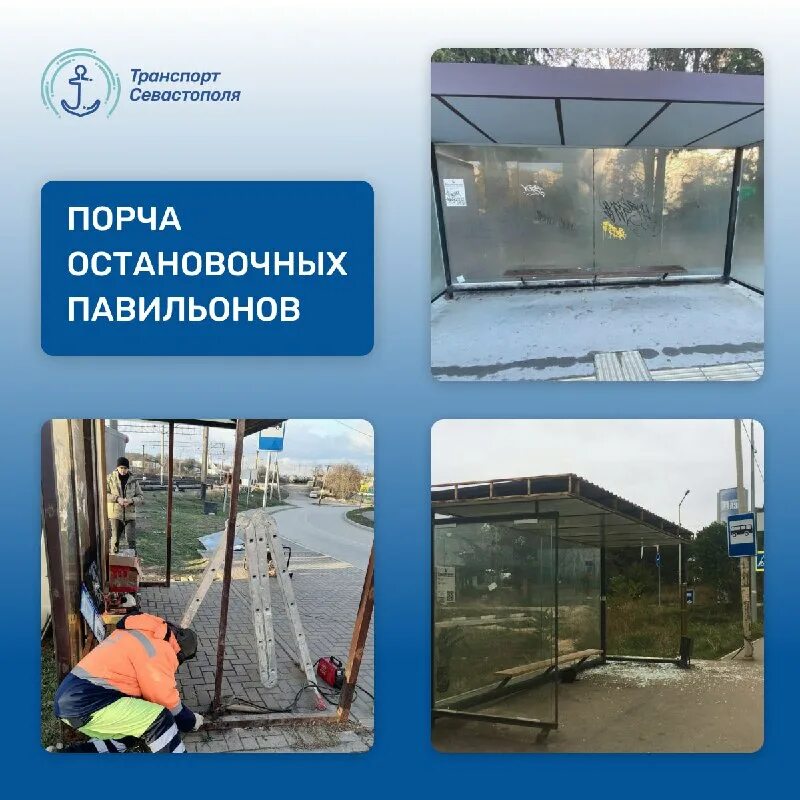 схема общественного транспорта севастополь. карта транспорта севастополя. первое такси севастополь адрес офиса. карта автобусов севастополя. яндекс транспорт севастополь.