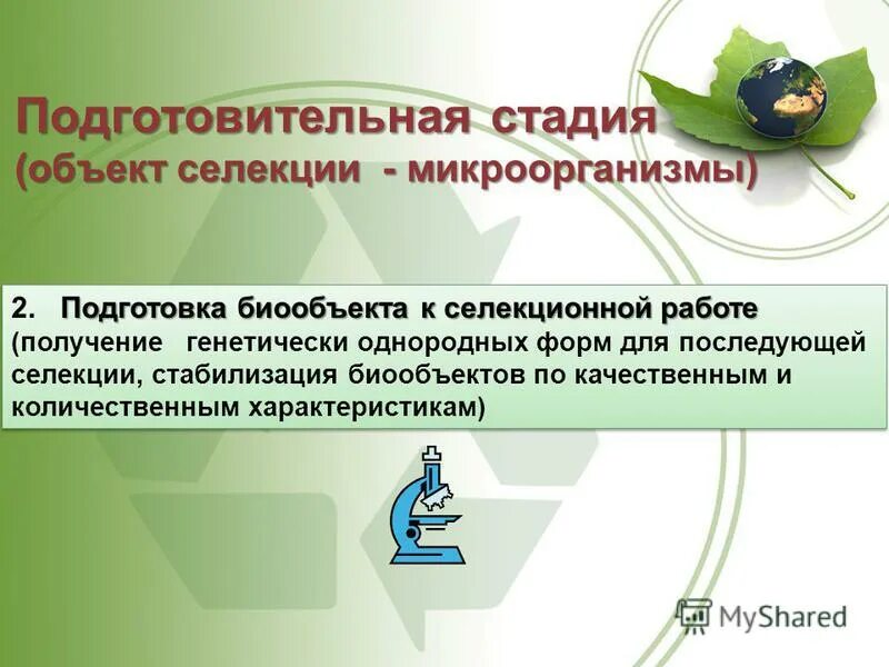 Что служит предметом селекции. Задачи современной селекции. Селекция задачи селекции. Проверочные слова памятка. Основные задачи селекции.