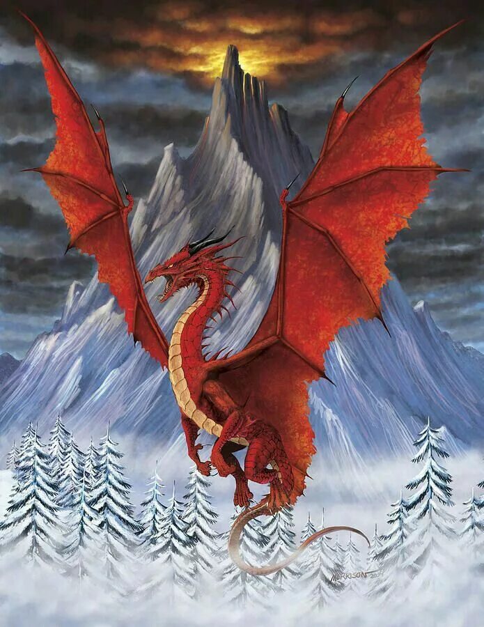 Дракон в огне. Референс дракона wings of fire. Огнедышащий дракон. Оранжевый дракон. Солнечный дракон.