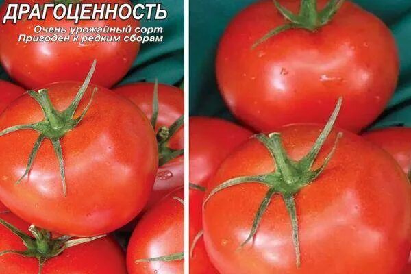 Томат драгоценность характеристика и описание сорта