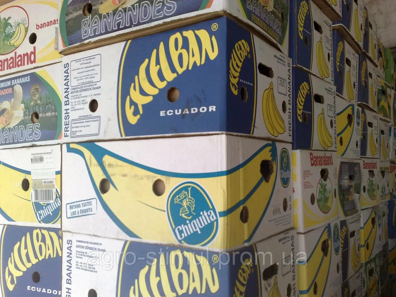Сколько кг в ящике бананов. Банановый ящик. Ящик от бананов пластиковый. Ящики из под банан. Пластиковый ящик из под бананов.