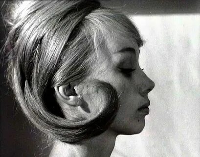 Хотите верьте хотите нет 1964
