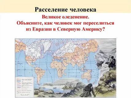 Первыми стали расселяться на суше семенные