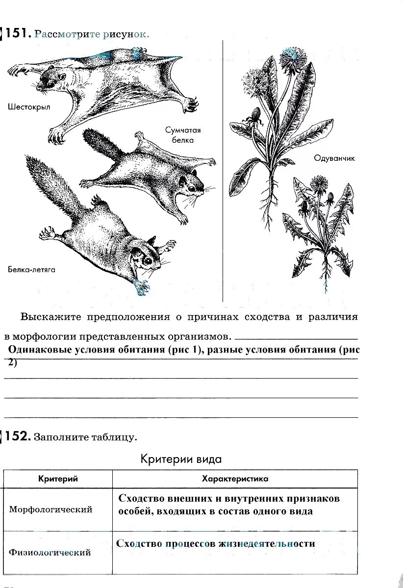 Биология 9 класс рт. Гдз биология 9 класс Пасечник. Причины сходства и различий в морфологии представленных организмов. Гдз по биологии 9 класс учебник. Биология 9 класс рабочая тетрадь Пасечник.