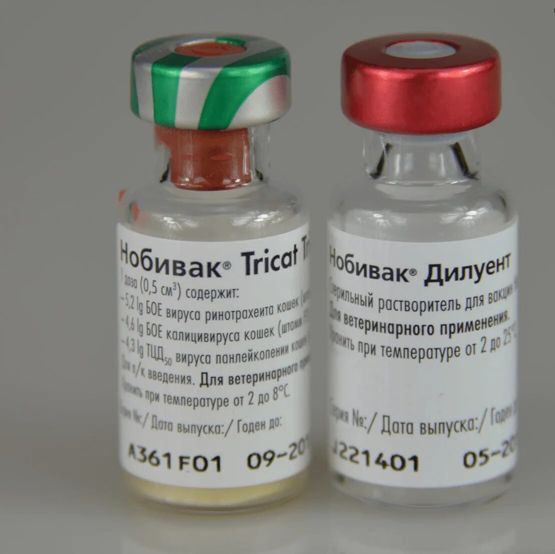 Нобивак DHPPI Lepto Rabies. Нобивак вакцина Tricat Trio 25х1. Вакцина Nobivac Tricat + Rabies. Нобивак Tricat Trio с растворителем Нобивак Дилуент для кошек. Какая вакцина для кошек лучше