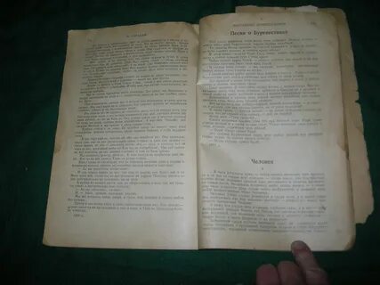 Буревестник горький текст