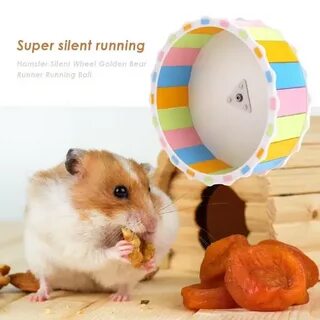 Vc hamster
