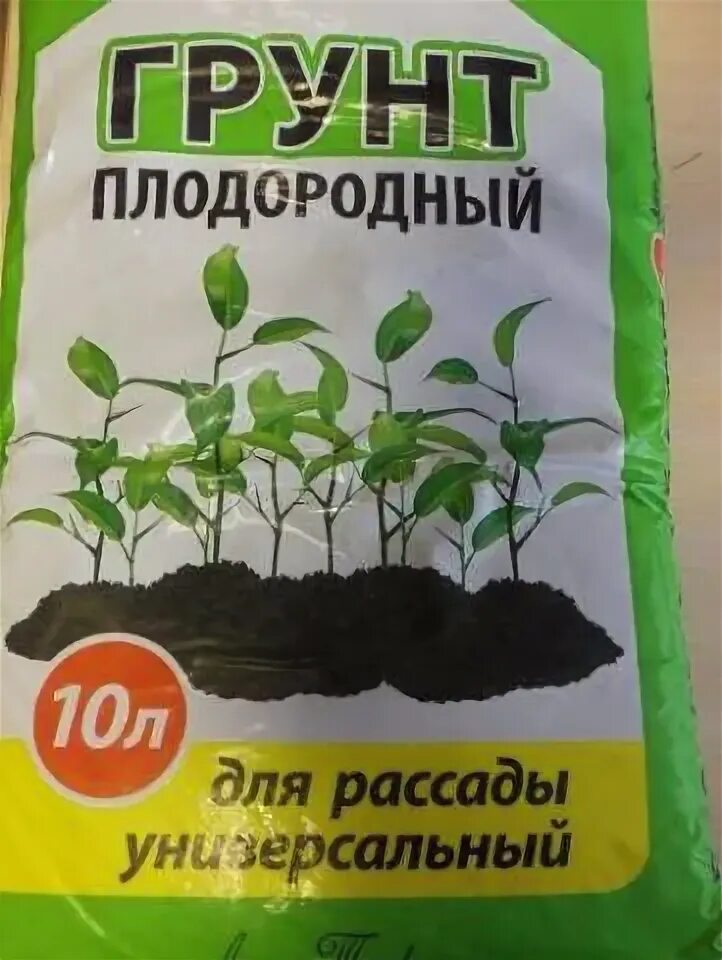 Подготовка грунта для рассады томатов и перца. Грунт для рассады. грунт для рассады перца. грунт для рассады помидор. грунт для рассады томатов и перцев.