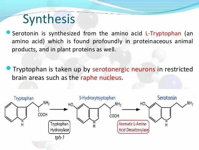 Синтез мелатонина. Синтез серотонина из триптофана. Триптофан серотонин мелатонин. Превращение триптофан серотонин мелатонин. Реакция образования серотонина из триптофана.
