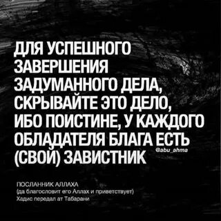 Затеянное дело