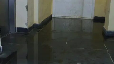 Мокрый перенос