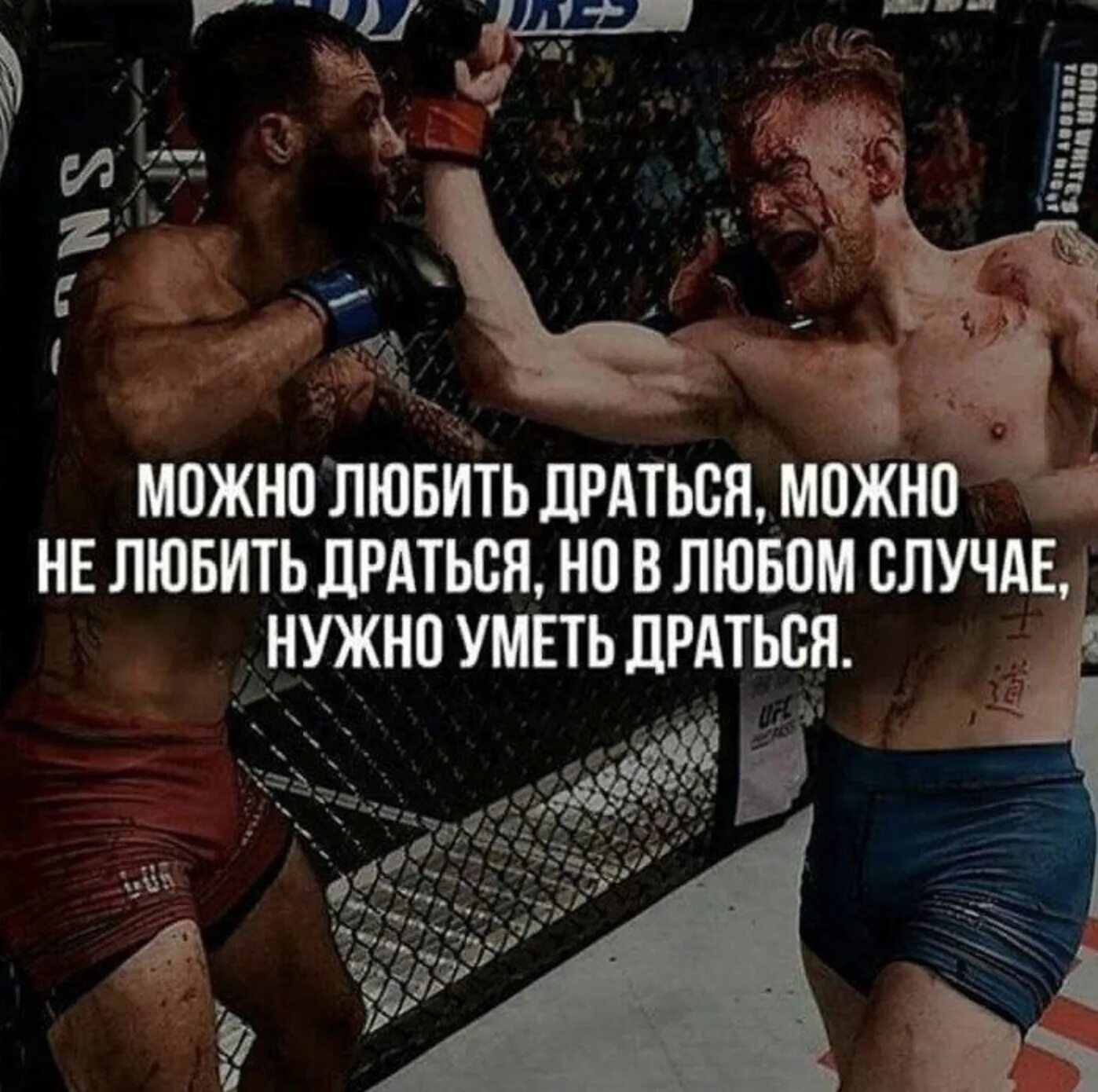 Жить есть сражаться