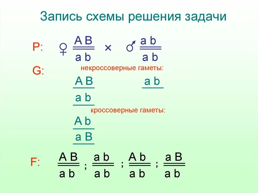 Некроссоверные гаметы. Задачи на кроссоверные и некроссоверные гаметы. Некроссоверные гаметы ab/ab. Как определить кроссоверные и некроссоверные гаметы в задачах.