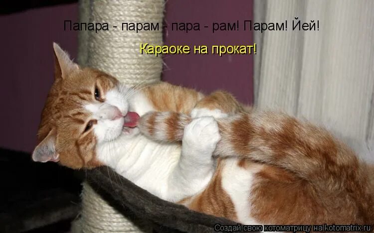 Конец из ералаша. Папарам парам парам песня. Парам парам. Парам пам пам мем. Папарам парам парам песня.