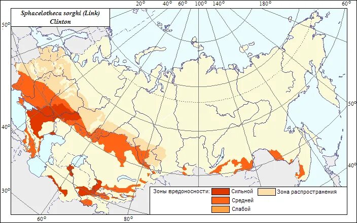 южный ареал