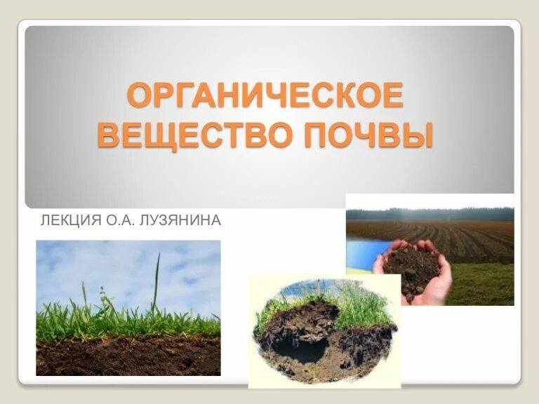 Назовите органические вещества почвы. Органическое вещество почвы. Органическая часть почвы. Органика в почве. Состав органического вещества почвы.