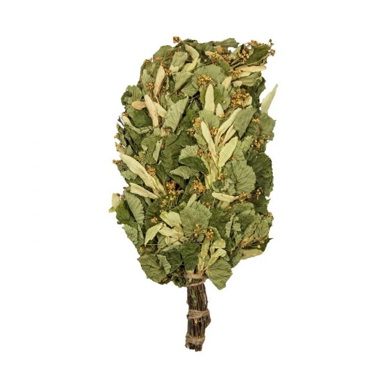 Банный веник дубовый 1 шт. Польза веников для бани. Березово дубовый веник. Веник дубовый в уп. Веник канадский клен.