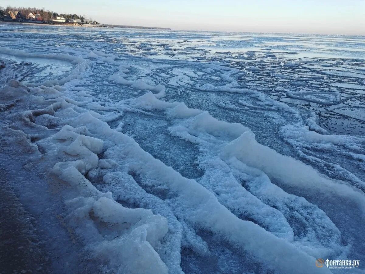 Замерзают ли озера. Замерзшее Ладожское озеро. Лед на Ладожском озере. Ладога зимой замерзает. Ладожское озеро зимой замерзает.