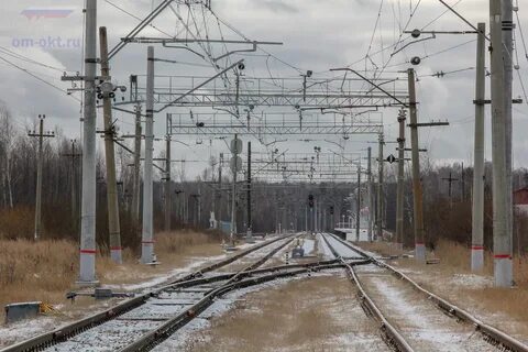 Конаковский мох зеленоград