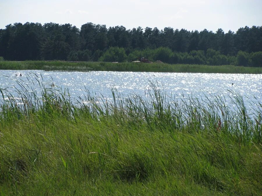 Озеро новоегорьевское алтайский край. Титовка алтайский край егорьевский район. Село лебяжье алтайский край красногорский район. Село лебяжье егорьевский район. Горько перешеечное озеро алтайский край.