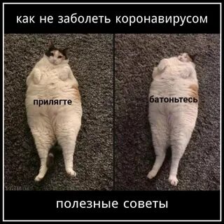 Батониться