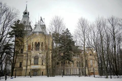 Дача сосновка