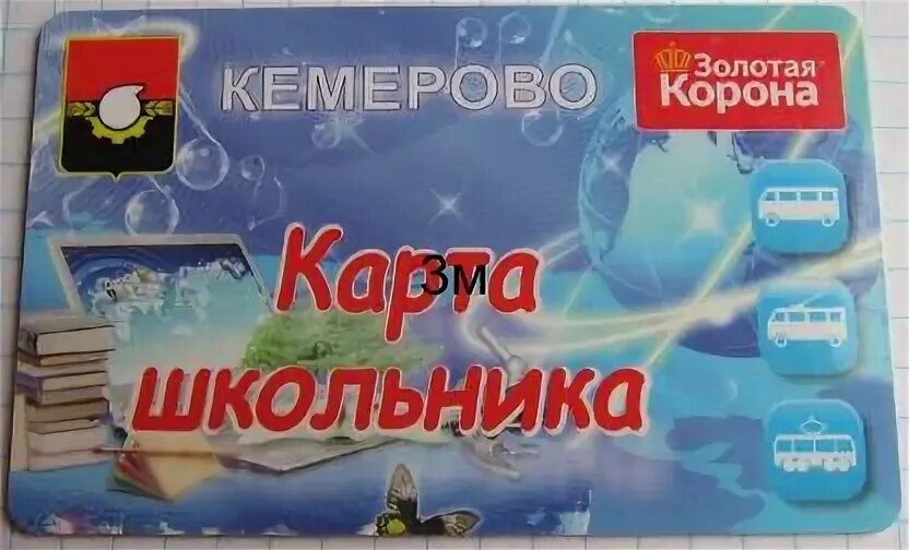 Карта школьника новосибирск где