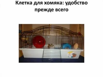 Как узнать код в хомяке