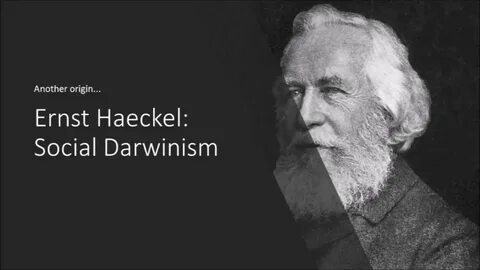 Немецкий биолог э геккель писал в 1904
