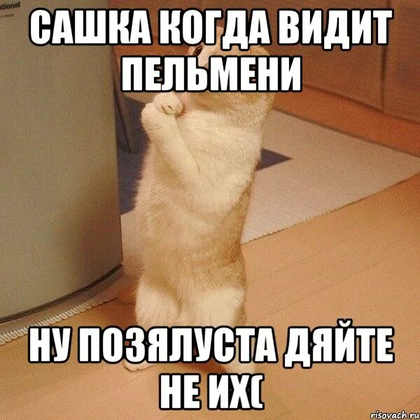 Наташа я тебя люблю мем. Анекдот про стриптизера. Сашка надпись. Наташа мем. Сашка ты.