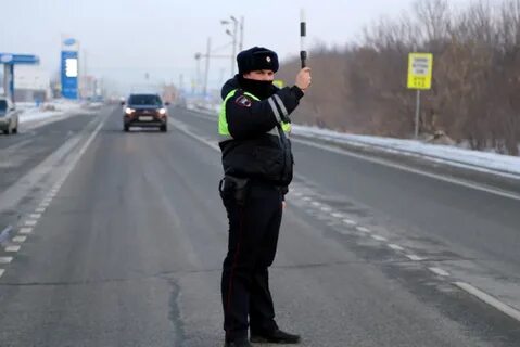Приняли гаи
