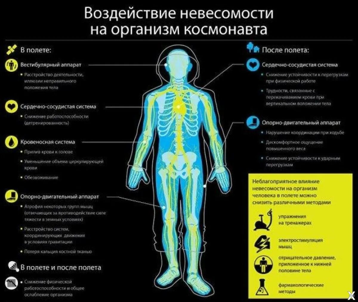 Влияние невесомости на организм. Воздействие космоса на организм человека. Влияние космоса на человека. Воздействие невесомости на человека.