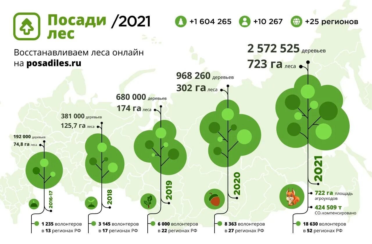Насколько посадили. Посади лес. Проект посади лес. Сколько деревьев сажают в год. Посадка деревьев в России.