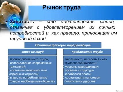 Экономика рыночных трудовых отношений