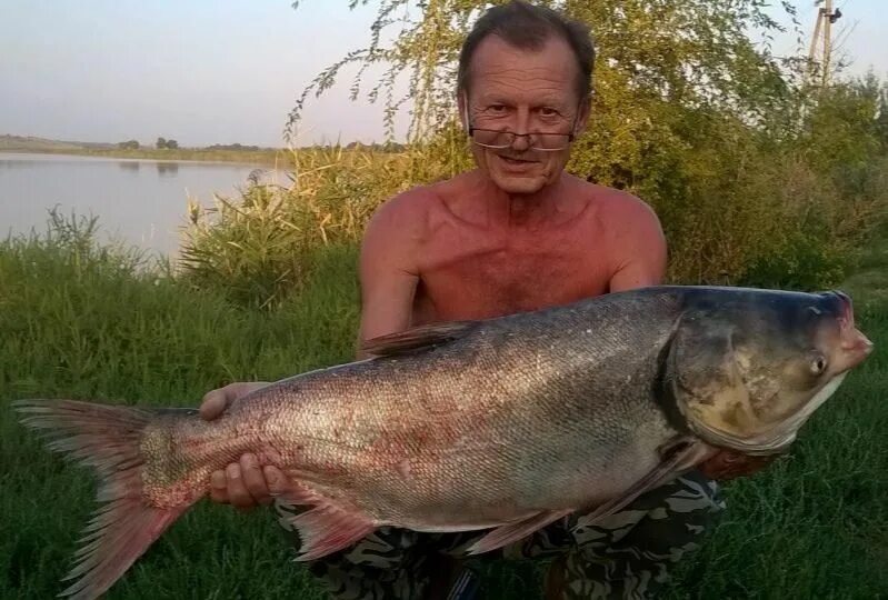 Река миус таганрог. Рыбалка в таганроге и окрестностях. Рыбалка в таганроге. Рыбалка в таганрогском заливе. Рыбалка под таганрогом.