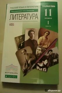 Учебник лит 11 класс