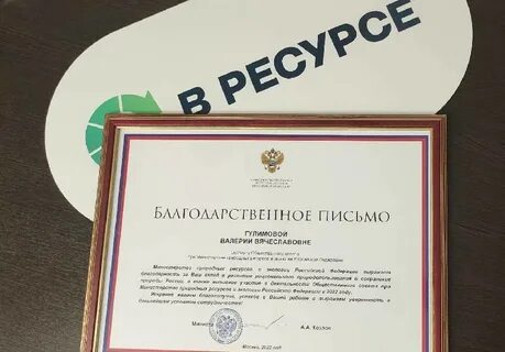 Благодарственное письмо министерства транспорта